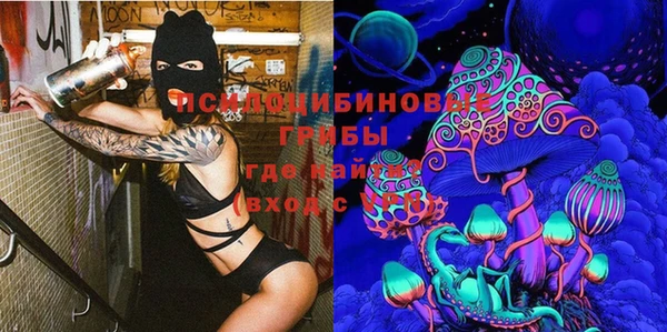 амф Абинск