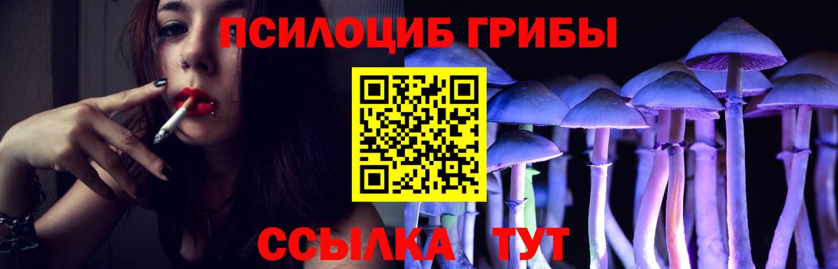 Галлюциногенные грибы GOLDEN TEACHER  Вход с VPN  Кандалакша 