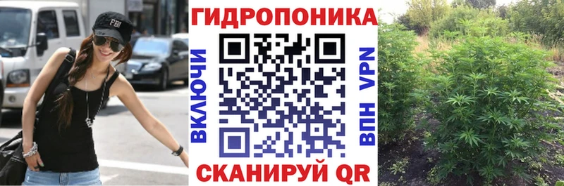 Шишки марихуана семена  наркошоп  Кандалакша 